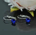 Auskari ar Swarovski Elements kristāliem VE-2805