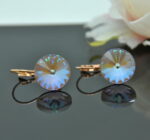 Auskari ar Swarovski Elements kristāliem VE-2901