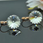 Auskari ar Swarovski Elements kristāliem VE-2904
