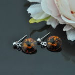Auskari ar Swarovski Elements kristāliem VE-2982
