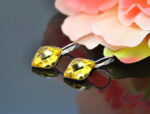 Auskari ar Swarovski Elements kristāliem VE-2252