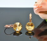 Auskari ar Swarovski Elements kristāliem VE-2301