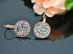 Auskari ar Swarovski Elements kristāliem VE-2331