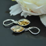 Auskari ar Swarovski Elements kristāliem VE-3243