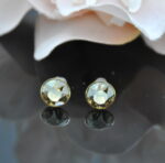Auskari ar Swarovski Elements kristāliem VE-3299