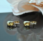 Auskari ar Swarovski Elements kristāliem VE-3370