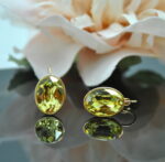 Auskari ar Swarovski Elements kristāliem VE-3397