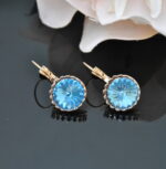 Auskari ar Swarovski Elements kristāliem VE-3413
