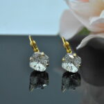 Auskari ar Swarovski Elements kristāliem VE-3428