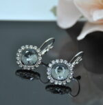 Auskari ar Swarovski Elements kristāliem VE-3490
