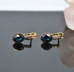 Auskari ar Swarovski Elements kristāliem VE-3624