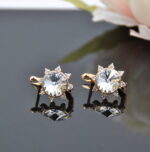 Auskari ar Swarovski Elements kristāliem VE-3673