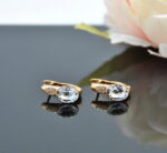 Auskari ar Swarovski Elements kristāliem VE-3680