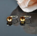 Auskari ar Swarovski Elements kristāliem VE-3724