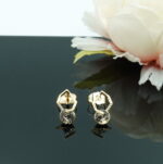 Auskari ar Swarovski Elements kristāliem VE-3848