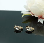 Auskari ar Swarovski Elements kristāliem VE-3849