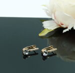Auskari ar Swarovski Elements kristāliem VE-3856