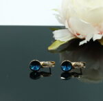 Auskari ar Swarovski Elements kristāliem VE-3865