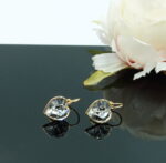 Auskari ar Swarovski Elements kristāliem VE-3869