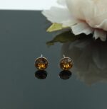 Auskari ar Swarovski Elements kristāliem VE-3894