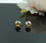 Auskari ar Swarovski Elements kristāliem VE-3898