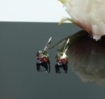 Auskari ar Swarovski Elements kristāliem VE-3958