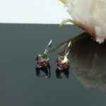 Auskari ar Swarovski Elements kristāliem VE-3958