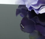 Deguna pīrsings LL-1056