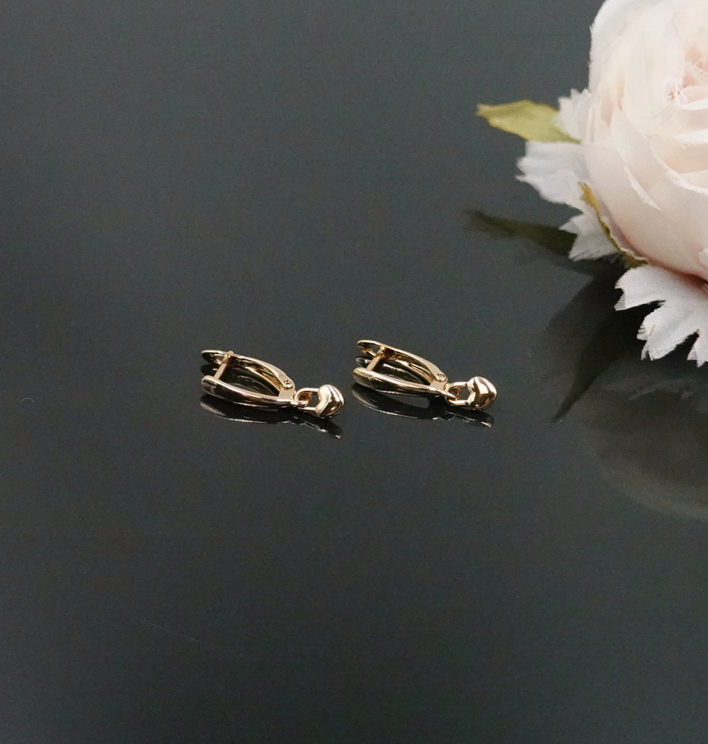 Auskari LE-2931