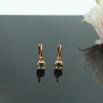 Auskari ar Swarovski Elements kristāliem VE-3961