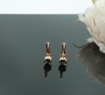 Auskari ar Swarovski Elements kristāliem VE-3963