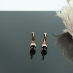 Auskari ar Swarovski Elements kristāliem VE-3963