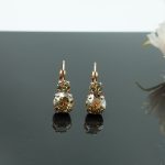 Auskari ar Swarovski Elements kristāliem VE-3964