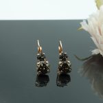 Auskari ar Swarovski Elements kristāliem VE-3966