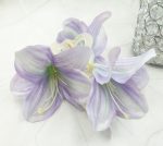 Matu krabītis ''Chic lily''  FA-1059