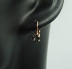 Auskari ar Swarovski Elements kristāliem VE-3963 - Image 3