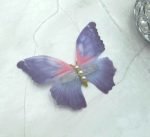 Matu sprādze ''Butterfly'' FA-1095