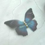 Matu sprādze ''Butterfly'' FA-1097