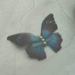 Matu sprādze ''Butterfly'' FA-1097